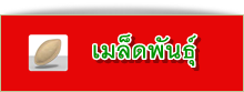 เมล็ดพันธุ์ผัก