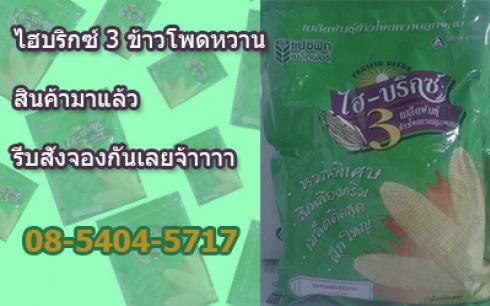 มาแล้ว ข้าวโพดหวานไฮบริกซ์3 สั่งซื้อได้เลย