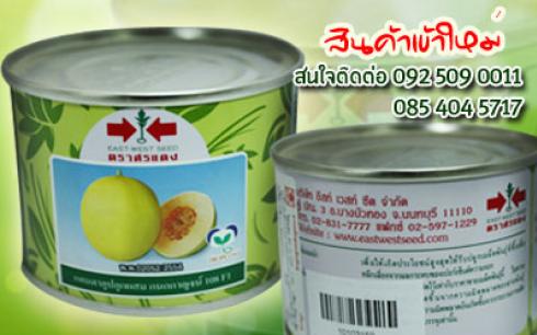 สินค้าใหม่ แคนตาลูปลูกผสม กนกกาญจน์ 108 F1