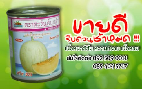 สินค้าขายดี แคนตาลูปSweet D25