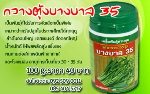 ผักกาดกวางตุ้งบางบาล 35 100g.