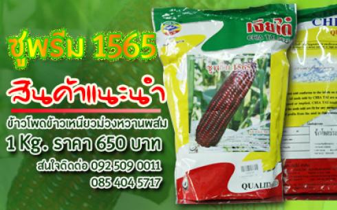 ซูพรีม 1565