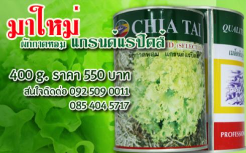 ใหม่ ผักกาดหอม แกรนด์แรปิคส์ (เจียไต๋)