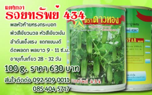 แตงกวา รวยทรัพย์ 434