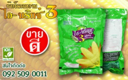 ข้าวโพดหวานไฮบริกซ์ 3