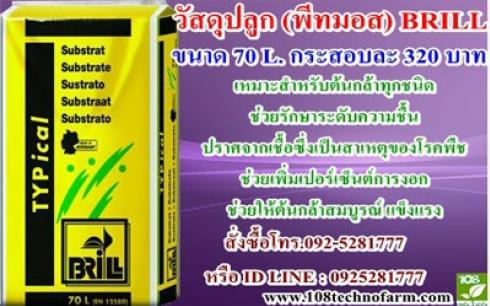 วัสดุปลูก (พีทมอส) BRILL 70L. 320บาท