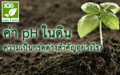 ค่าpHในดินสำคัญกับการปลูกพืชอย่างไร