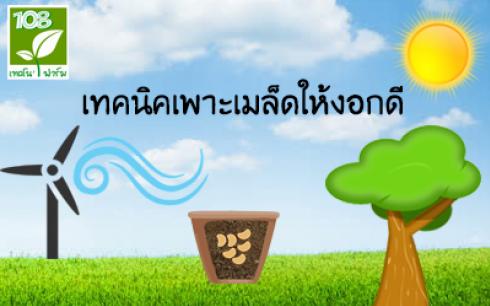 เทคนิคการเพาะเมล็ดให้งอกดี