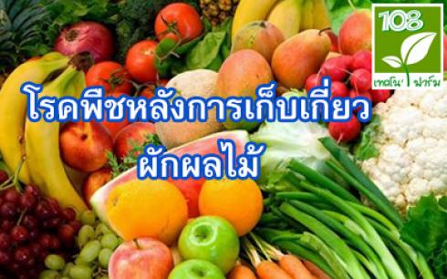 โรคพืชหลังการเก็บเกี่ยวผักผลไม้