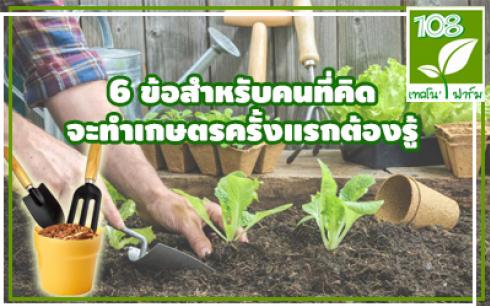 6 ข้อสำหรับคนที่คิดจะทำเกษตรครั้งแรกต้องรู้