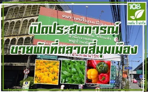 เปิดประสบการณ์ ขายผักที่ตลาดสี่มุมเมือง