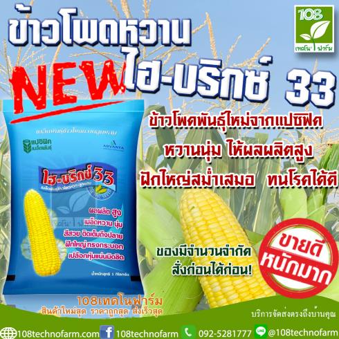 ข้าวโพดหวานไฮ-บริกซ์ 33