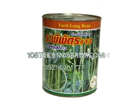 ถั่วฝักยาวระพีพัตร#13 500g