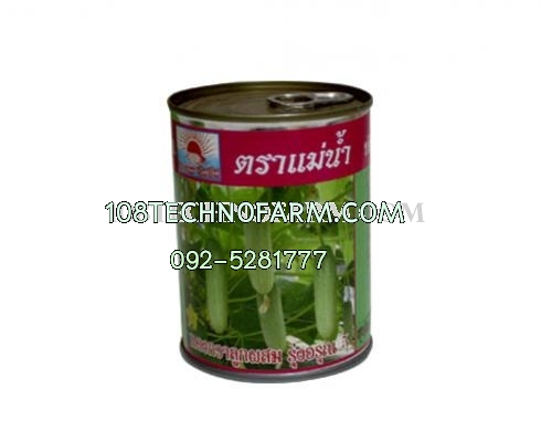 แตงกวารุ่งอรุณ 5 100g