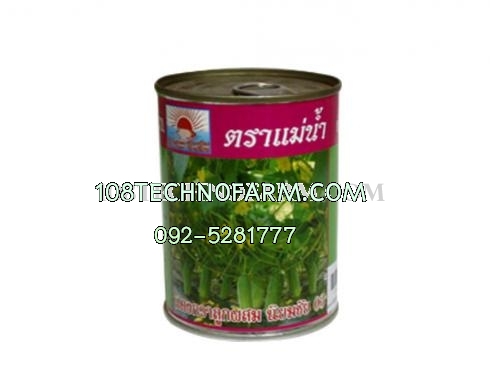 แตงกวานิยมชัย 03 100g