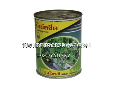 แตงกวาลองไวท์ซี 100g