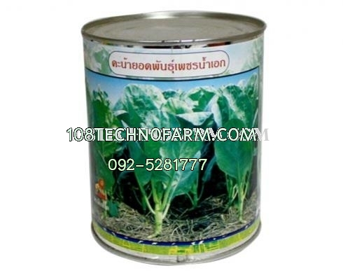 คะน้าเพชรน้ำเอก 1/4 ปอนด์ / 500g