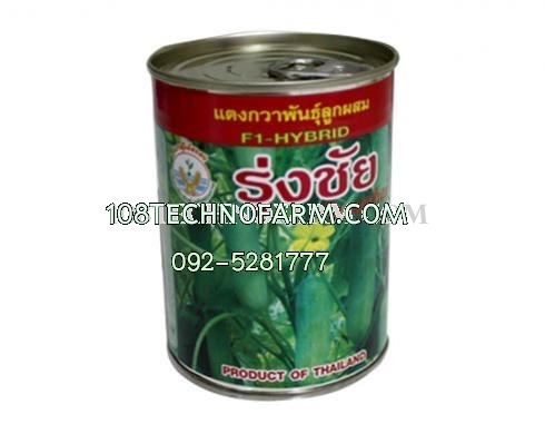 แตงกวา รุ่งชัย 50g /100g