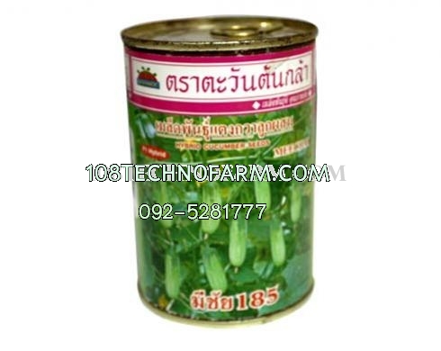 แตงกวามีชัย 185 50g / 100g