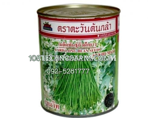 ถั่วฝักยาวสุขุมวิท 500g 