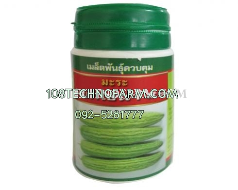 มะระจีนหยกไชน่า เบอร์9 100g.