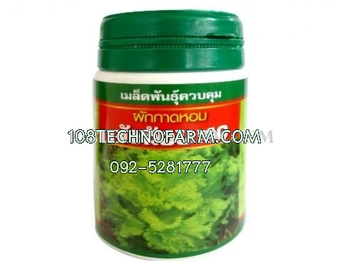 ผักกาดหอมวังน้อย 40 (ใบหยิก) 100g / 300g