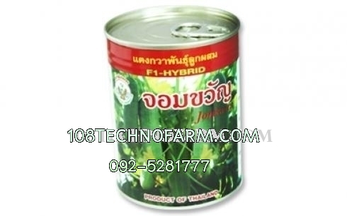 แตงกวาพันธุ์ จอมขวัญ 100g.