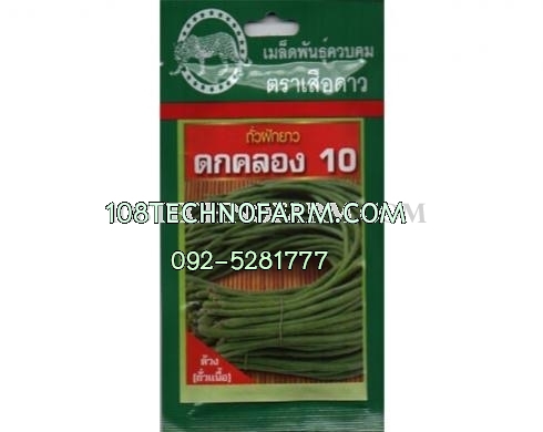 ผักซองเสือดาว 20บาท