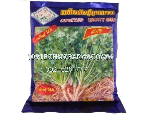 ผักชีสามเอ 400g