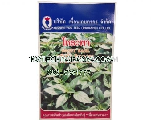 โหระพาแมคนั่ม 10g