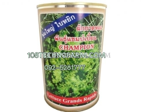 ผักกาดหอมแชมป์เปี้ยน 400g