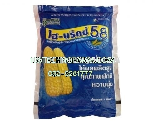 ข้าวโพดหวานไฮบริกซ์ 58