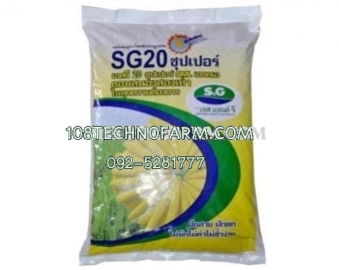 ข้าวโพดฝักอ่อนSG20ซุปเปอร์  5kg.