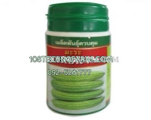 มะระจีนหยกไชน่า 100g.