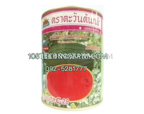 แตงโมขุนแผน C-28 250g.