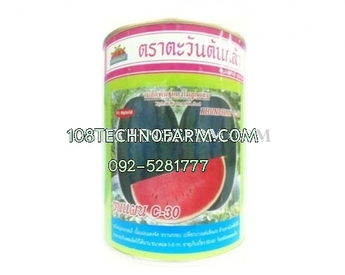 แตงโมขุนแผน C30 250g.