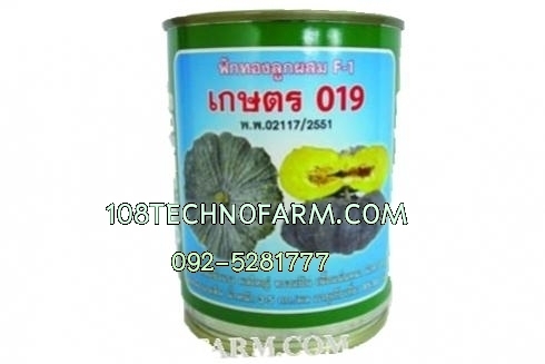 ฟักทองเกษตร 019 10g / 100g