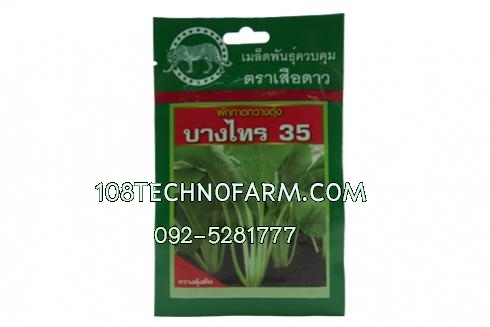 กวางตุ้งต้นบางไทร 35 100g / 500g