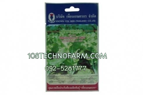 ผักกาดขาวไดโตเกียวเบกานา 6803 ซอง/100g.