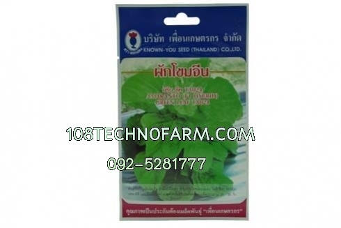 ผักโขมกรีนลีฟ TA024 ซอง/100g