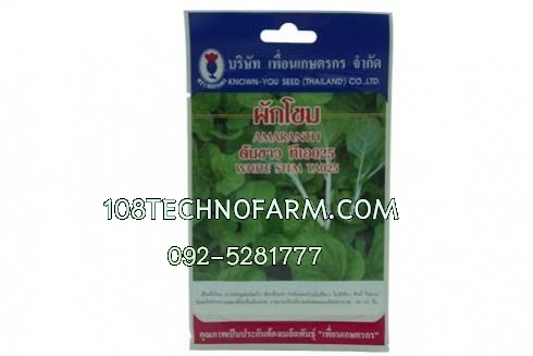 ผักโขมต้นขาว TA025 ซอง/100g