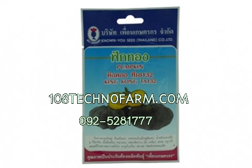 ฟักทองคิงคอง TA132 ซอง/100g 