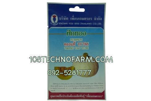 ฟักทองทองแท้ T1786 ซอง/60g.