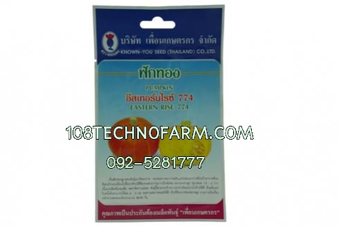 ฟักทองอิสเทอร์นไรซ์ 774(สีส้ม) ซอง/50g