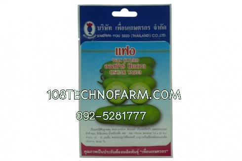 แฟงออสการ์TA073 28 เมล็ด