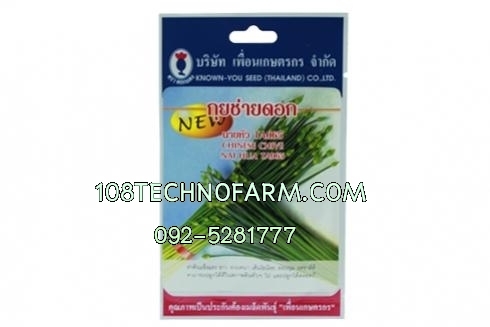 กุยช่ายดอกนายหัวTA065