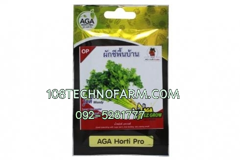 ผักชีพื้นบ้านวู้ดดี้ 70 g./10กรัม