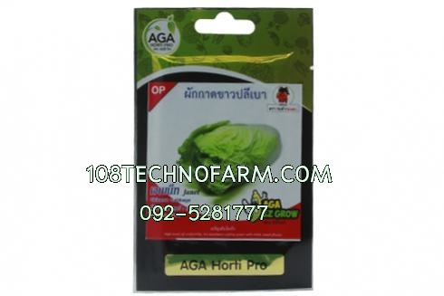 ผักกาดขาวปลีเบาเจนเน็ท 50 g./10กรัม