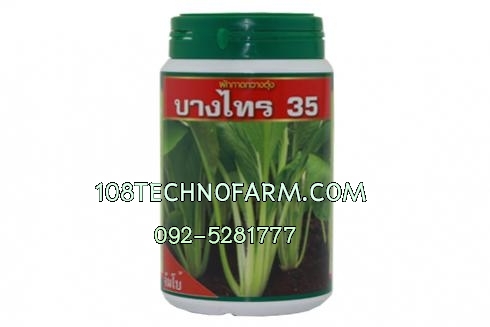 กวางตุ้งต้นบางไทร 35 (จัมโบ้) 100g./450g.