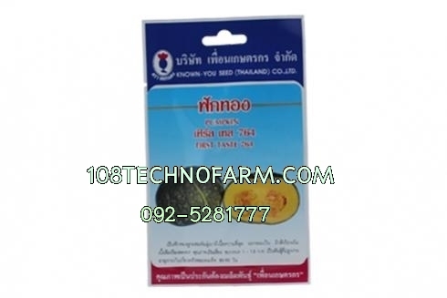 ฟักทองเฟิร์สเทส764 6 เมล็ด